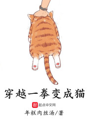 穿越一拳变成猫