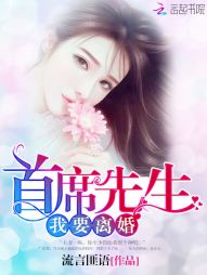 首席先生，我要离婚