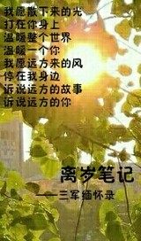 离岁笔记