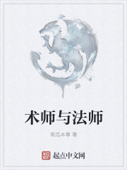 术师与法师