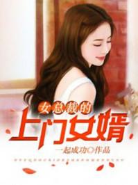 王婿txt下载
