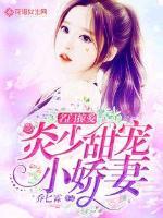 名门掠爱：炎少甜宠小娇妻txt下载