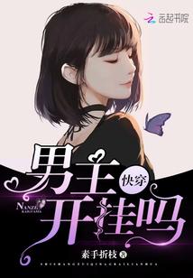 快穿：男主，开挂吗txt下载